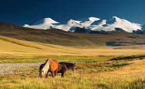 Samedi 28 janvier 2017 à 16 h. : conférence : La Mongolie 2016
