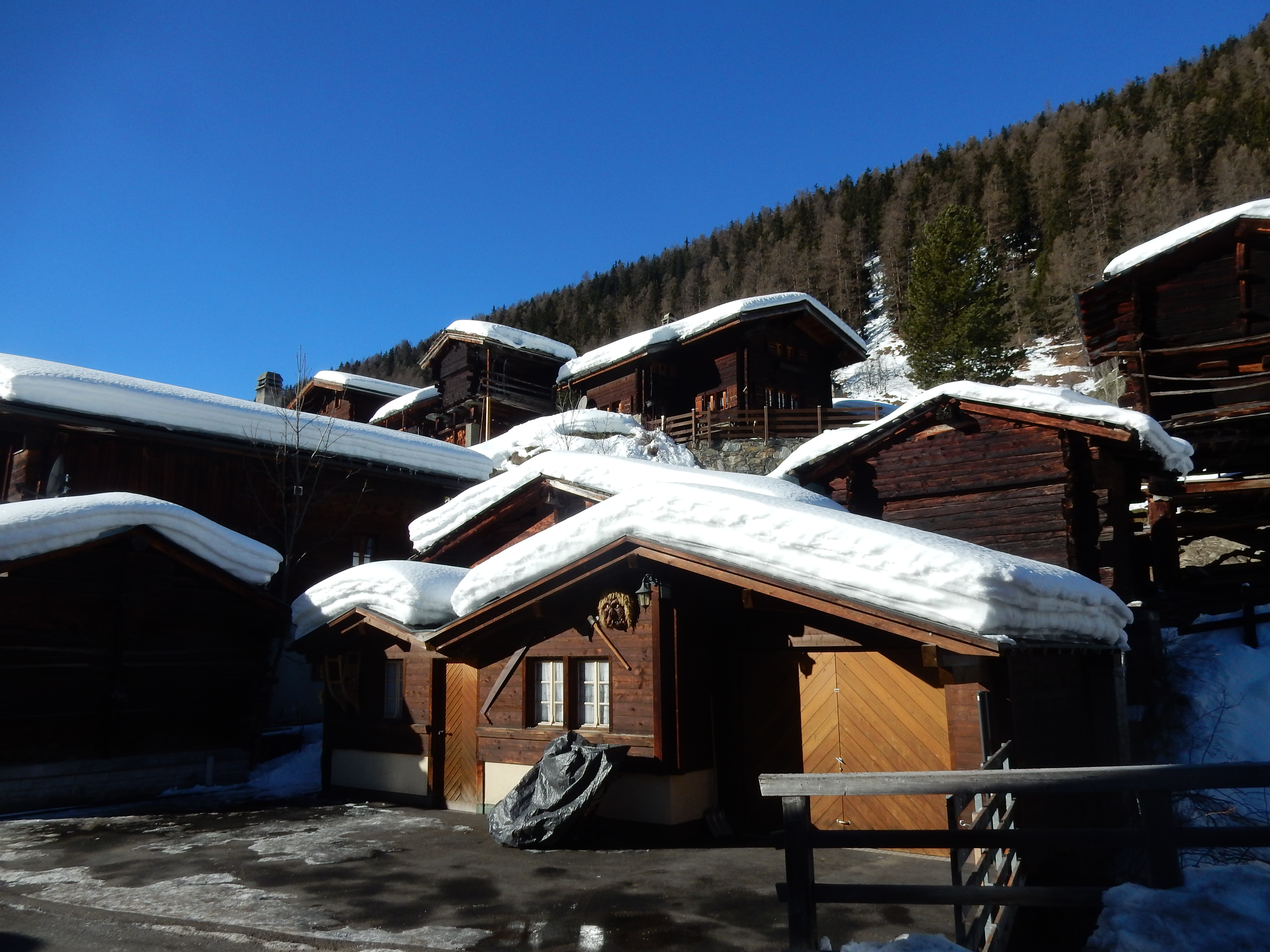 Dimanche 9 février 2020 : Balade dans la neige au Lötschental : la course a lieu
