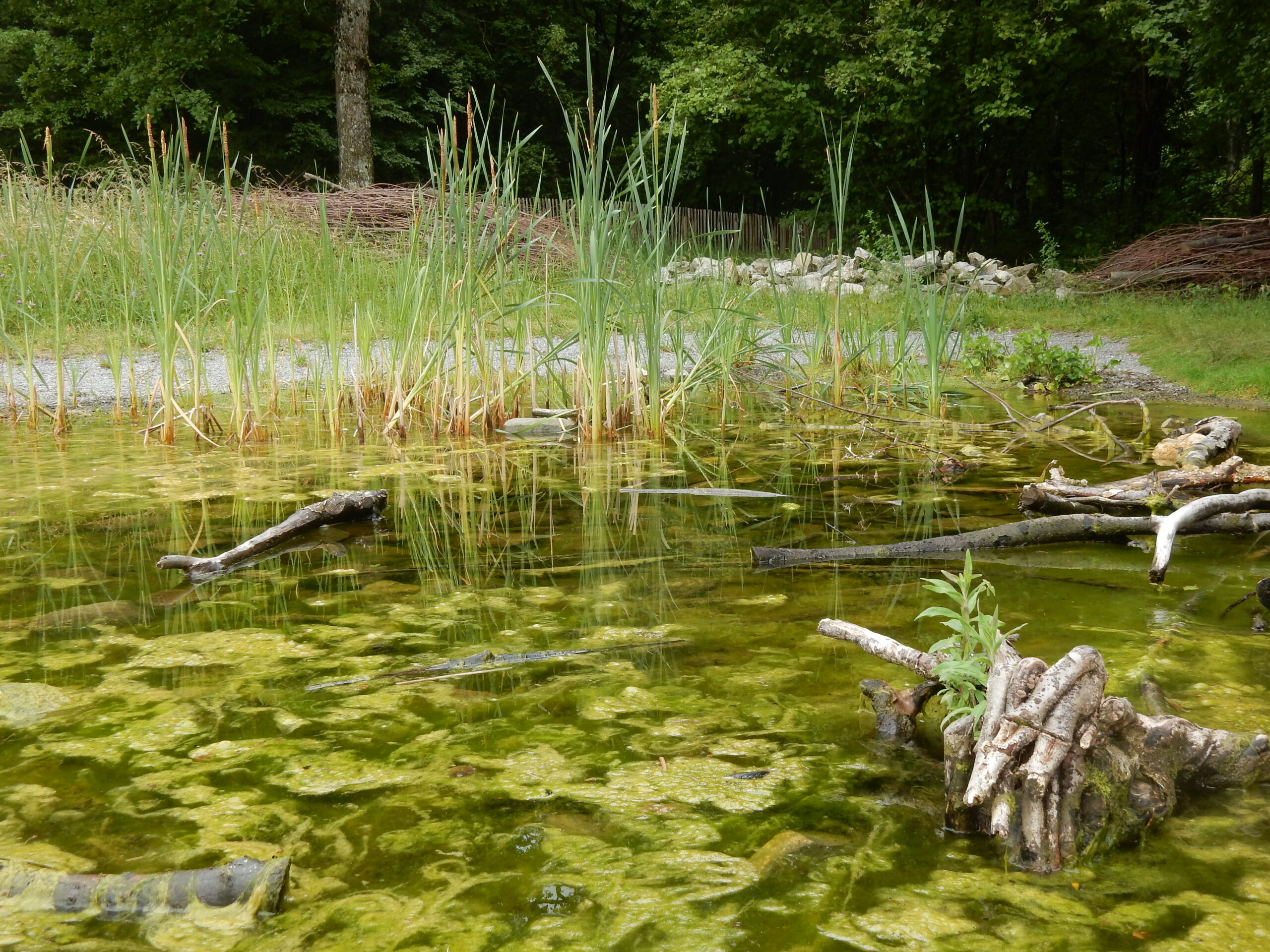 Lac de Sauvabelin
