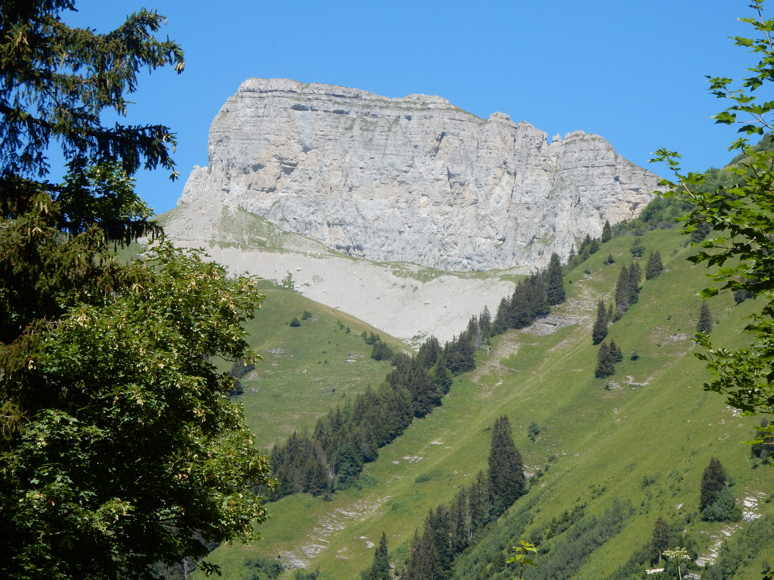 Tour d'Aï