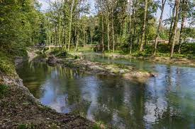 alte Aare Aarberg