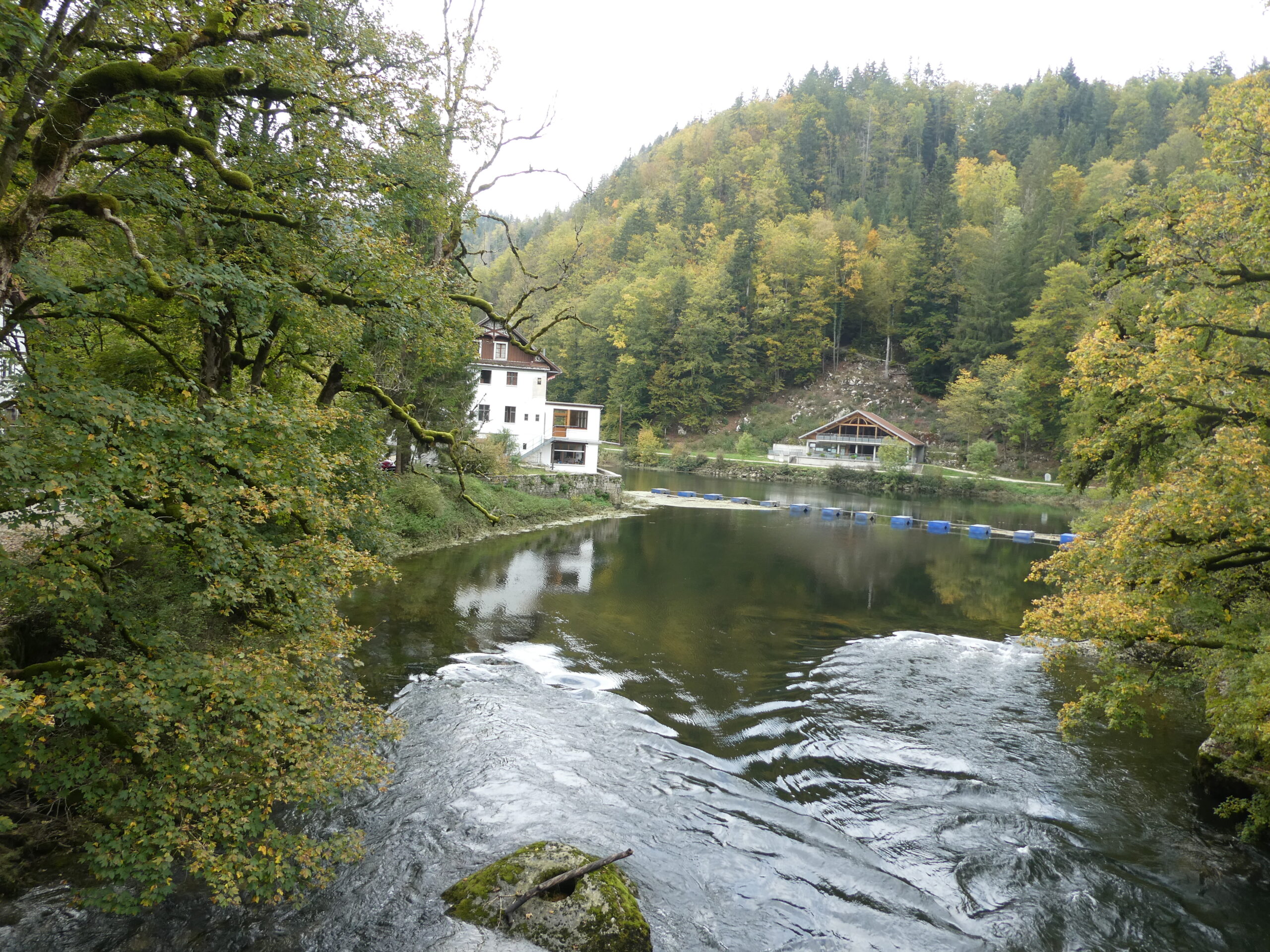 Dimanche 14 septembre 2025 : des Planchettes au Saut du Doubs : la course a lieu