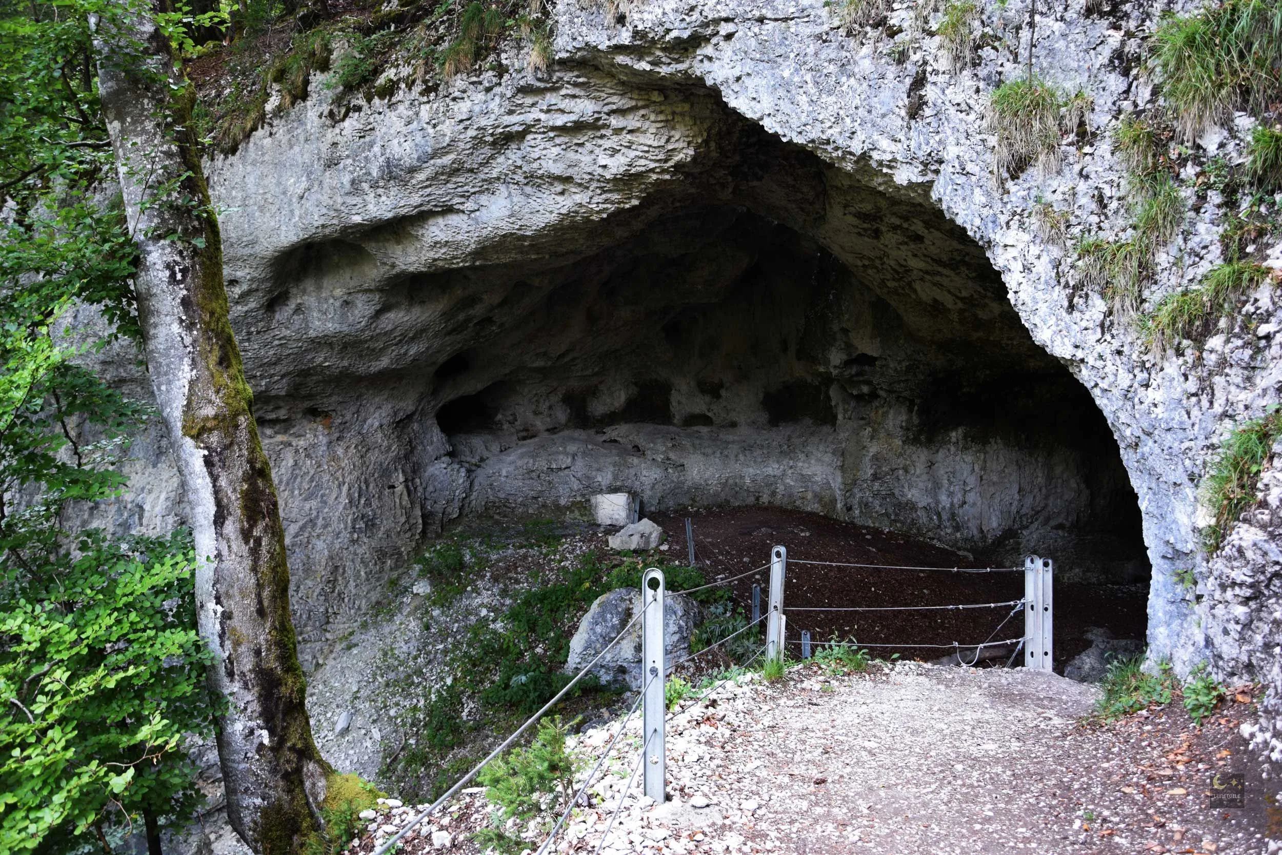 Dimanche 2 novembre 2025 : Le Pont – Grotte aux Fées – Vallorbe : course annulée