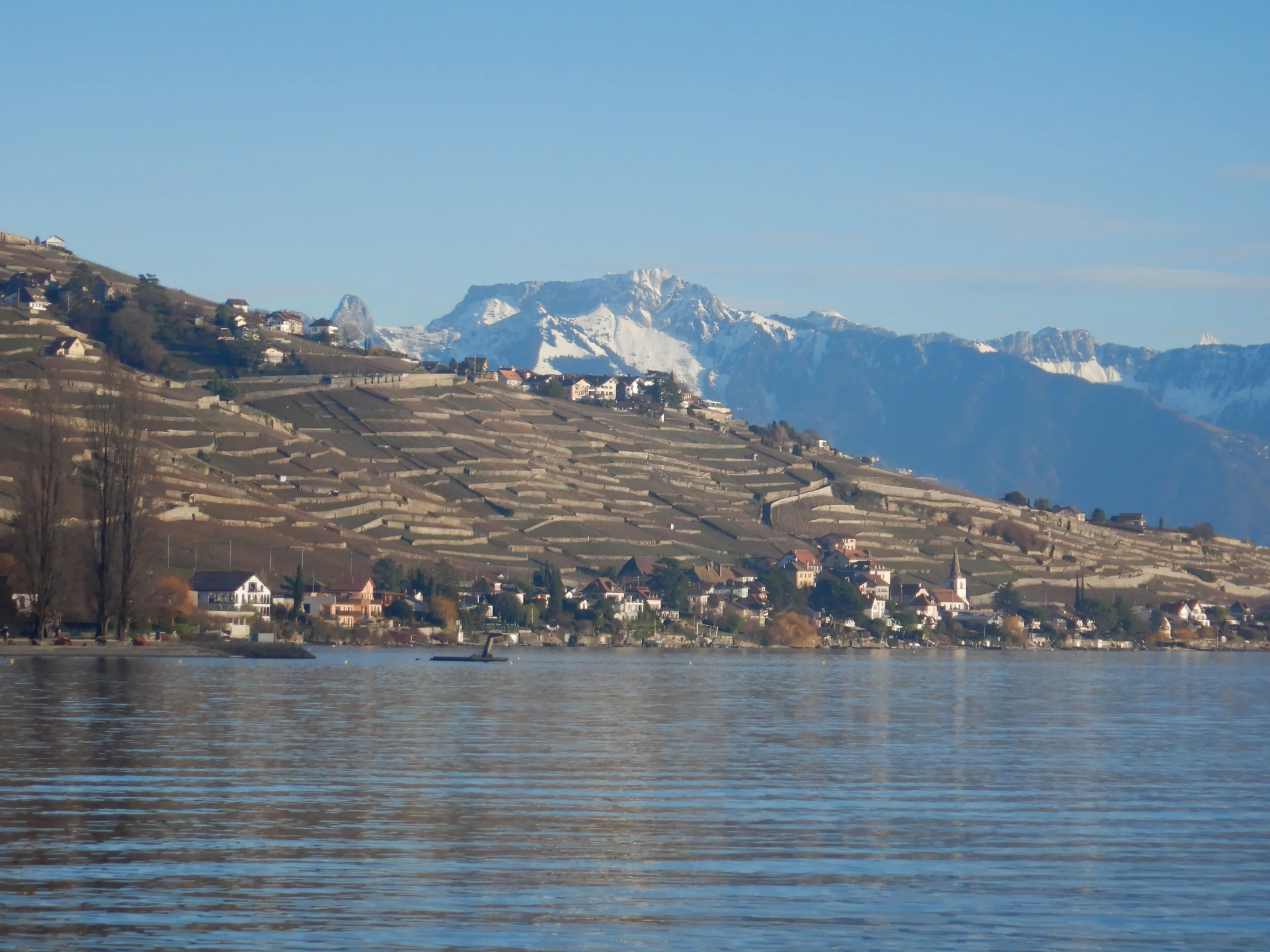 Samedi 28 février  2026 : Sentier des rives du Léman d’Ouchy à Lutry : la course a lieu