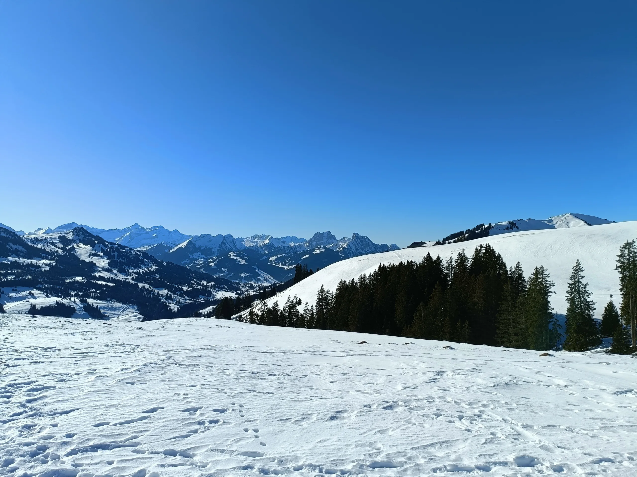 Dimanche 15 février 2026 : Marche sur la neige à Sparenmoos (BE) : la course a lieu