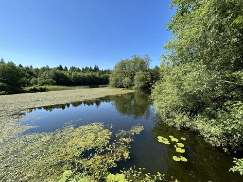 Samedi 3 octobre 2026 : A travers les bois du Jorat du Chalet-à-Gobet à Cugy (VD)