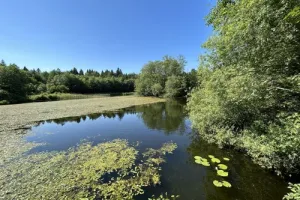 Samedi 3 octobre 2026 : A travers les bois du Jorat du Chalet-à-Gobet à Cugy (VD)